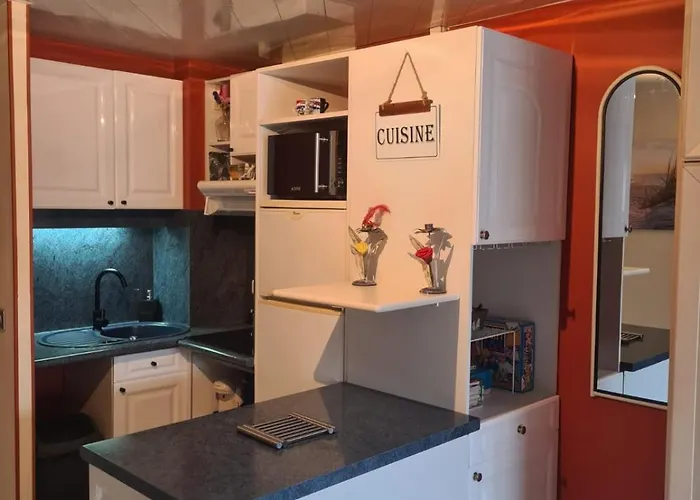 Elegant 30 M2 Dans 4 Etoiles Agde